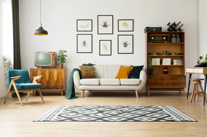 How to decor the living room